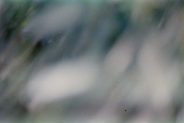 Hope (A Photograph)
