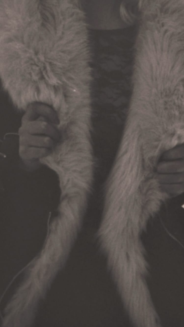 The Fur (and around it)