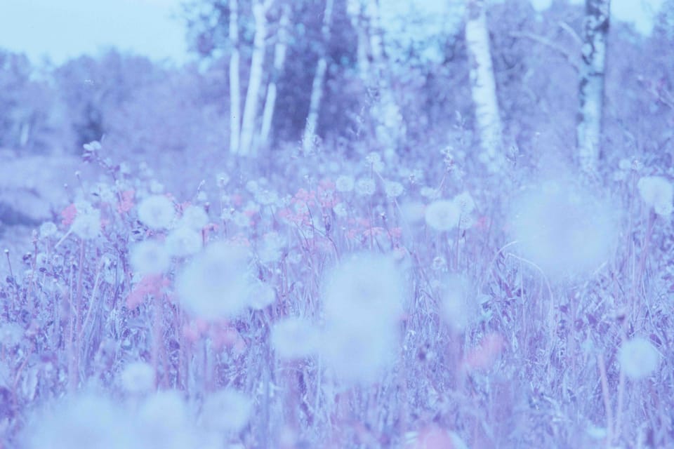 The Sun (a short story)