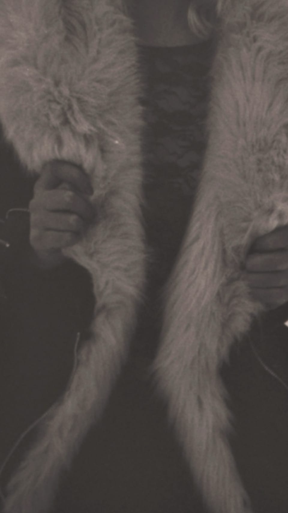 The Fur (and around it)